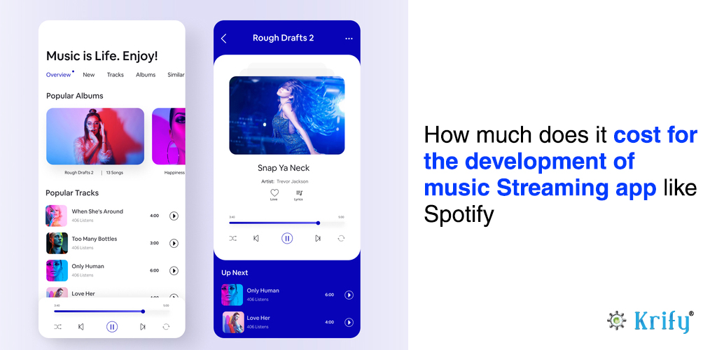 how much does it cost for the development of Spotify similar app