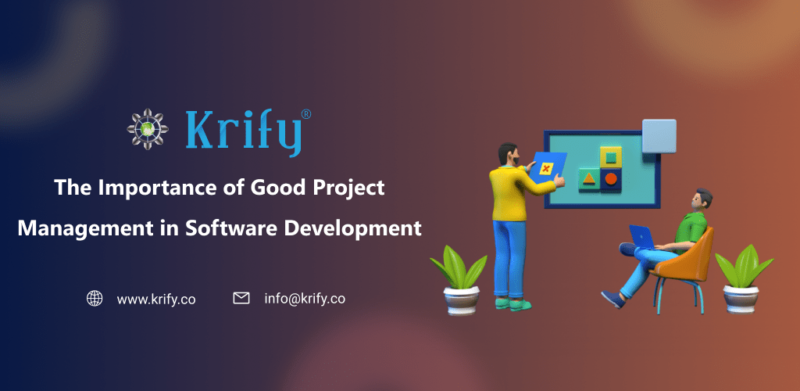 Project Management in Software Development
