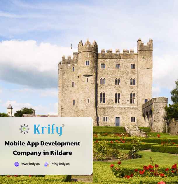 mobile app development company in Kildare