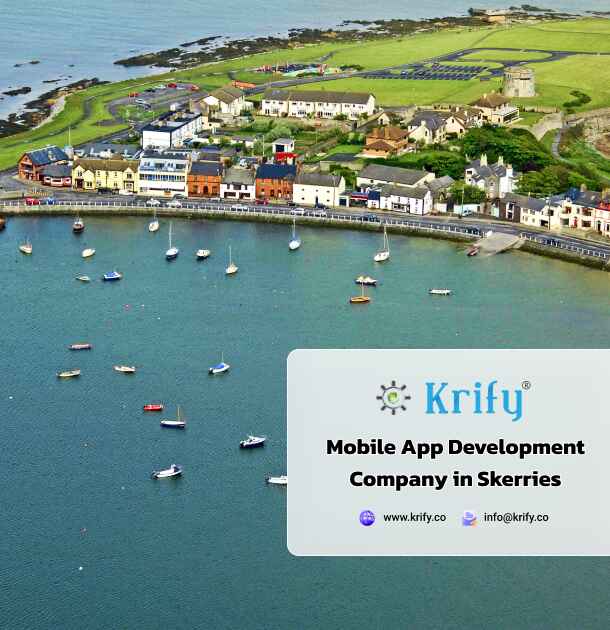 mobile app development company in Skerries