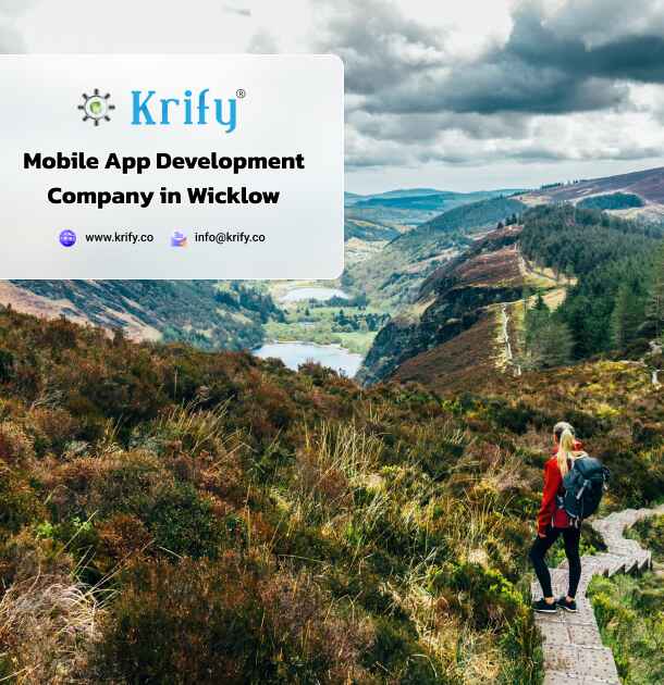 mobile app development company in Wicklow