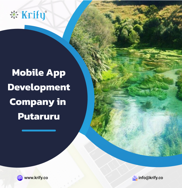 mobile app development company in Putaruru